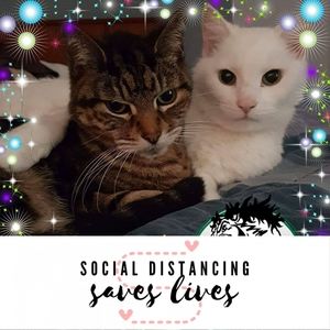 Meet your Posher, Lesley